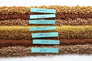 OD-AN948A_GRAIN_G_20120112160915