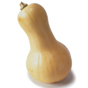Zucca butternut