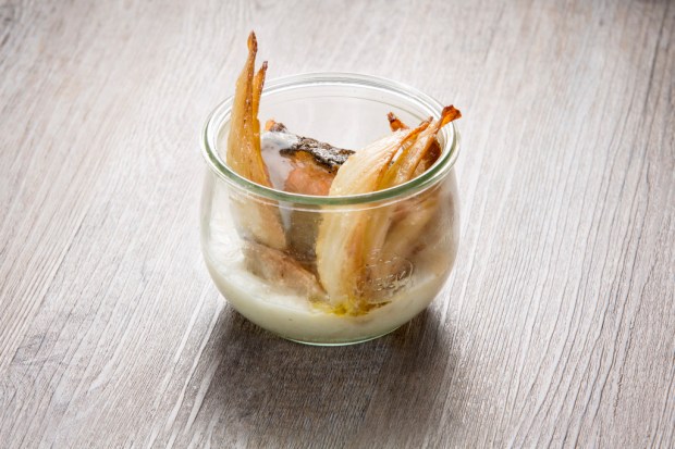 trancio-salmone-finocchi