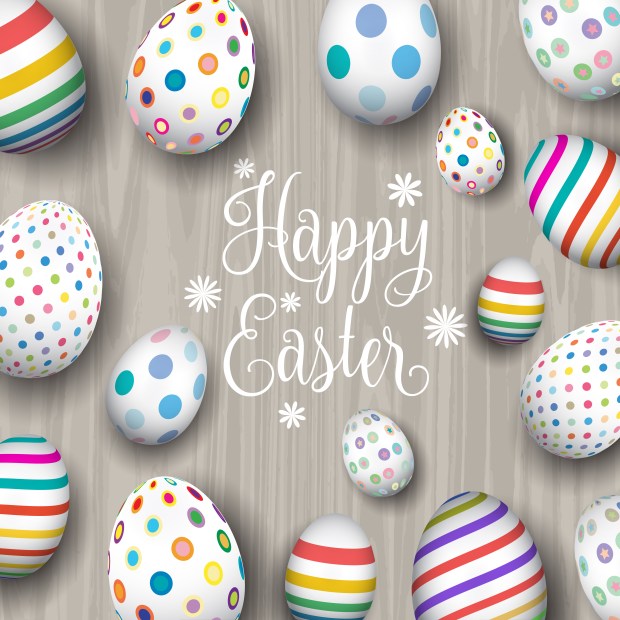 Easter eggs on wood background